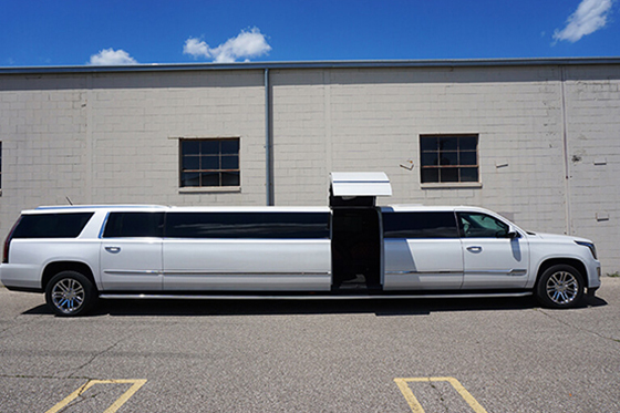 stunning limousine