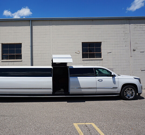 premier limousine