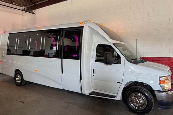 25 passenger party bus
